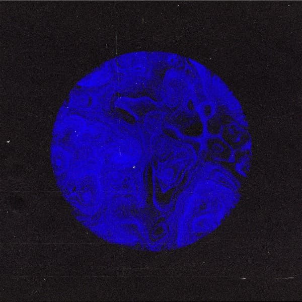 Patio Chum — Stuck Between Black and Blue EP