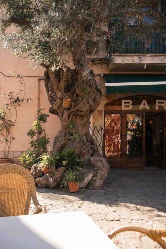 Mallorca countryside